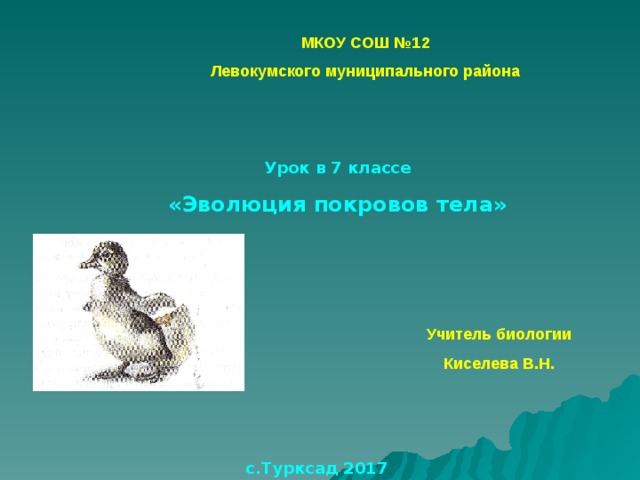 МКОУ СОШ №12 Левокумского муниципального района Урок в 7 классе «Эволюция покровов тела» Учитель биологии Киселева В.Н. с.Турксад 2017 