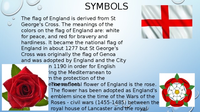 Rose symbol of england