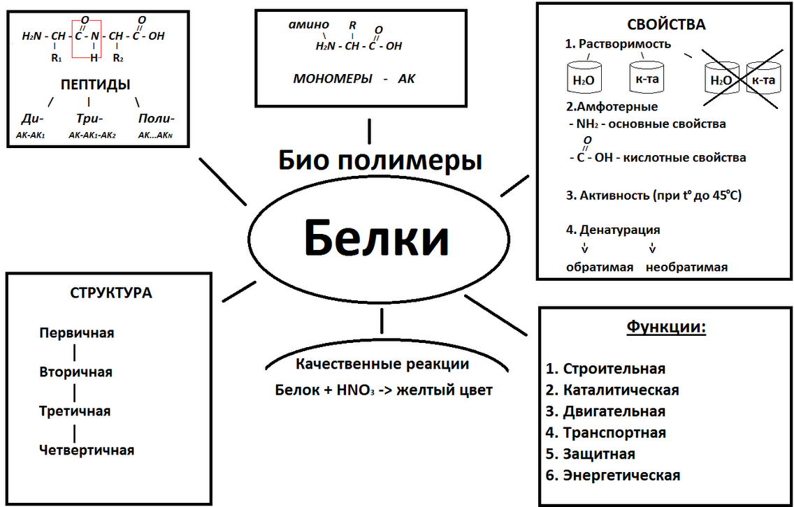 План опорная схема это