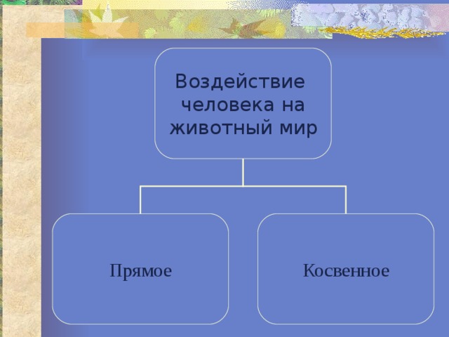 Воздействие человека на животный мир Прямое Косвенное 