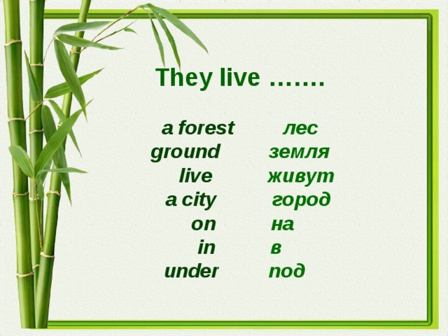  They live …….    a forest   лес  ground  земля   live  живут   a city  город   on  на  in  в  under  под 