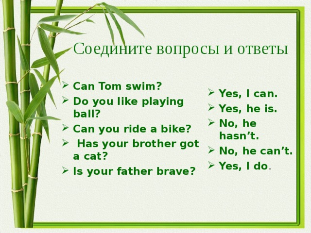 Соедините вопросы и ответы Can Tom swim? Do you like playing ball? Can you ride a bike?  Has your brother got a cat? Is your father brave? Yes, I can. Yes, he is. No, he hasn’t. No, he can’t. Yes, I do . 