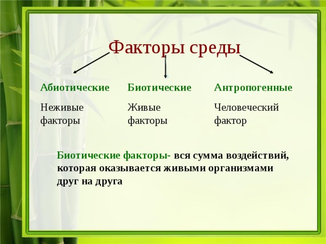 Примером абиотического фактора является ответы. Экология абиотические и биотические факторы. Факторы природы биотические и абиотические. Экологические факторы биотические факторы. Биотические и абиотические факторы среды.