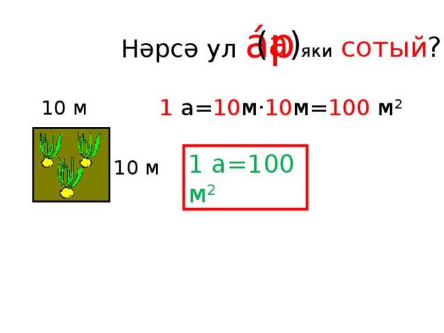  Нәрсә ул áр  ( а )  яки  сотый ? 1 а= 10 м· 10 м= 100 м 2 10 м 1 а=100 м 2 10 м 
