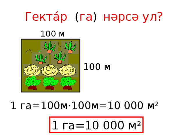 Гектáр ( га )   нәрсә ул? 100 м 100 м 1 га=100м·100м=10 000 м 2 1 га=10 000 м 2 