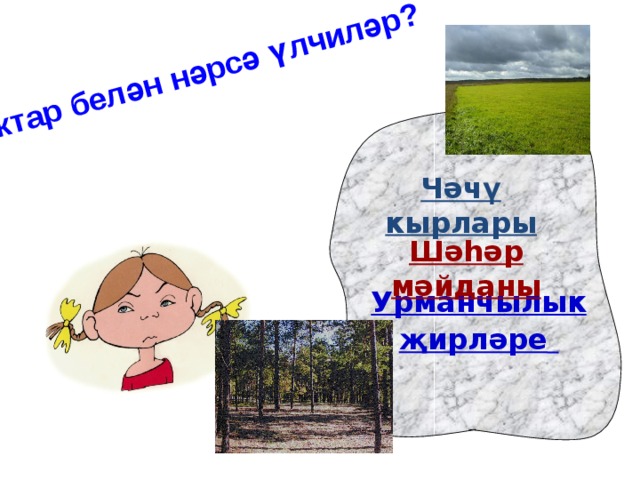 Гектар белән нәрсә үлчиләр? Чәчү кырлары Шәһәр мәйданы Урманчылык җирләре  