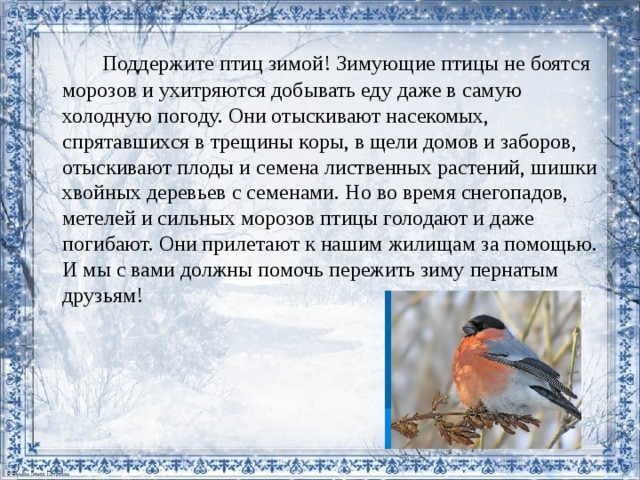 Сочинение на тему пернатые гости 3 класс по плану по русскому языку