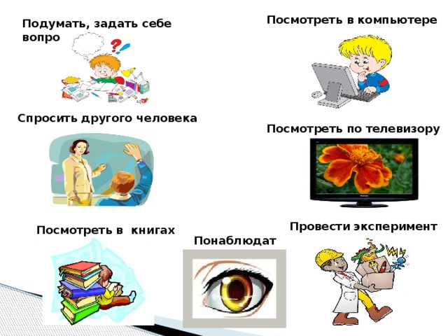 Получить информацию это значит понаблюдать раскрасить рисунок запомнить