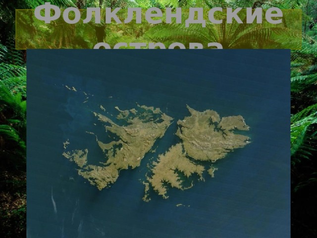 Фолклендские острова 
