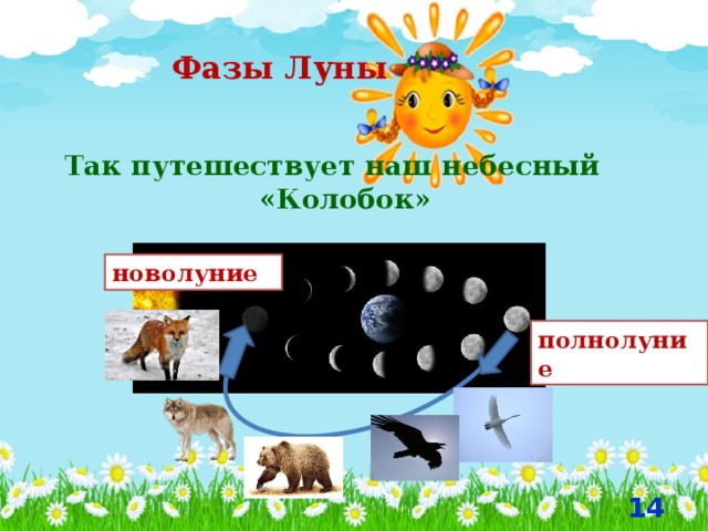  Фазы Луны Так путешествует наш небесный «Колобок» новолуние полнолуние  
