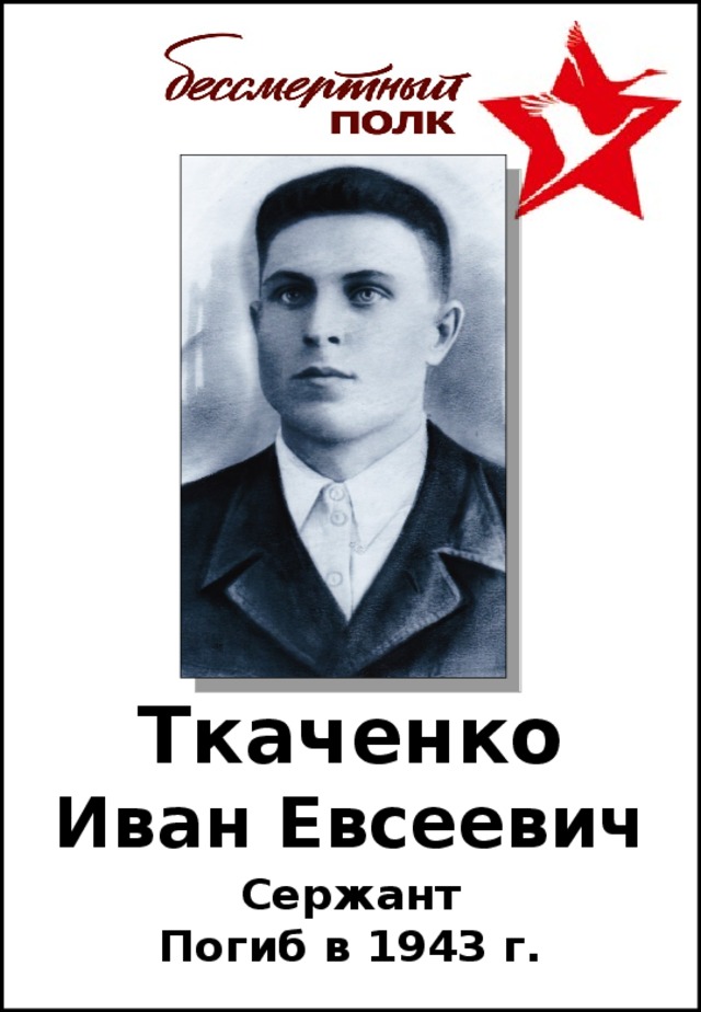 Ткаченко  Иван Евсеевич Сержант Погиб в 1943 г.