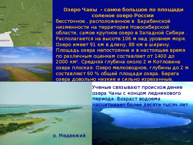 Какое озеро занимает второе место по площади. Солёное бессточное озеро Чаны;. Тип котловины озера Чаны. Чаны самое большое озеро Западной Сибири.