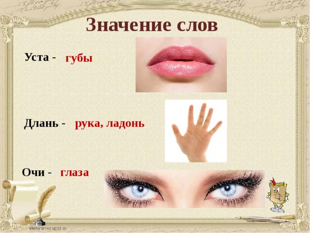 Значение слов Уста - губы рука, ладонь Длань - Очи - глаза