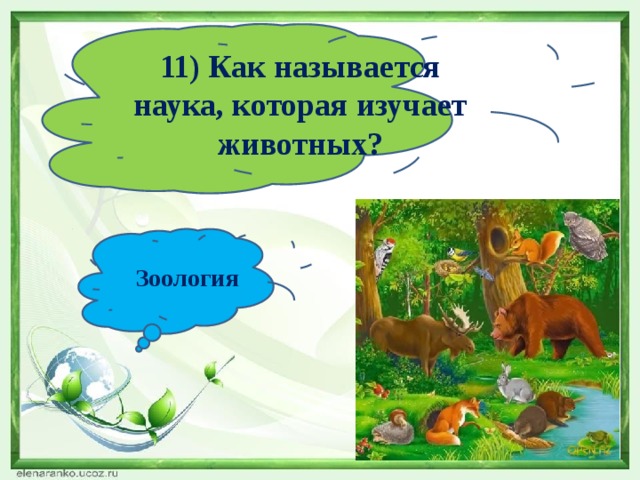 11) Как называется наука, которая изучает животных? Зоология