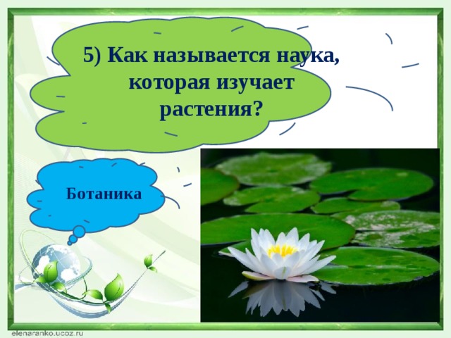 5) Как называется наука, которая изучает растения? Ботаника