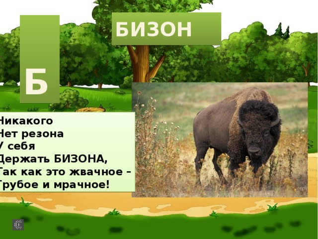 БИЗОН  Б Никакого Нет резона У себя Держать БИЗОНА, Так как это жвачное – Грубое и мрачное! 