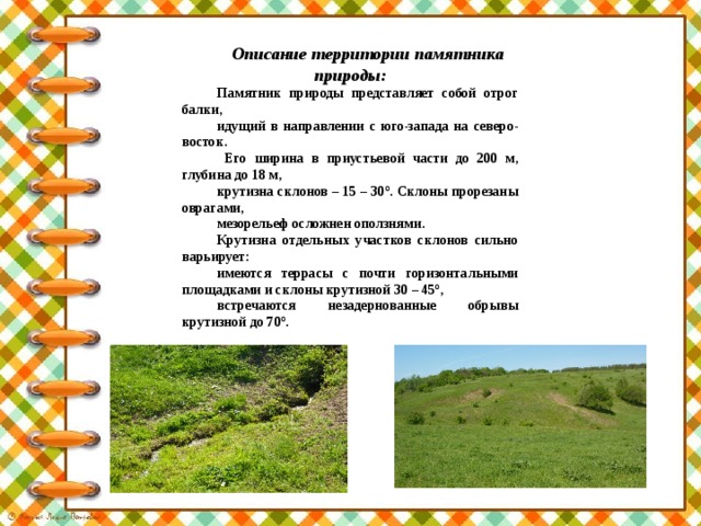 Описание территории памятника природы: Памятник природы представляет собой отрог балки, идущий в направлении с юго-запада на северо-восток.  Его ширина в приустьевой части до 200 м, глубина до 18 м, крутизна склонов – 15 – 30º. Склоны прорезаны оврагами, мезорельеф осложнен оползнями. Крутизна отдельных участков склонов сильно варьирует: имеются террасы с почти горизонтальными площадками и склоны крутизной 30 – 45º, встречаются незадернованные обрывы крутизной до 70º. 