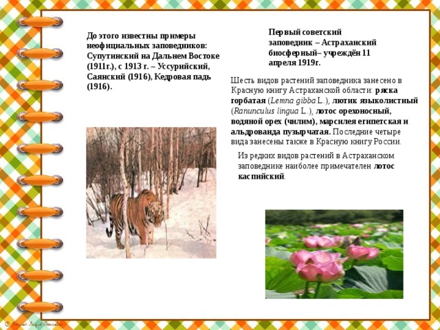 Первый советский заповедник – Астраханский биосферный– учреждён 11 апреля 1919г. До этого известны примеры неофициальных заповедников: Супутинский на Дальнем Востоке (1911г.), с 1913 г. – Уссурийский, Саянский (1916), Кедровая падь (1916). Шесть видов растений заповедника занесено в Красную книгу Астраханской области: ряска горбатая ( Lemna gibba L.), лютик языколистный ( Ranunculus lingua L . ) , лотос орехоносный, водяной орех (чилим), марсилея египетская и альдрованда пузырчатая. Последние четыре вида занесены также в Красную книгу России. Из редких видов растений в Астраханском заповеднике наиболее примечателен лотос каспийский . 