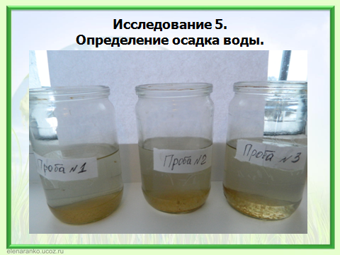 Морковь в пресной воде через 3 дня