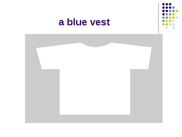 a blue vest 