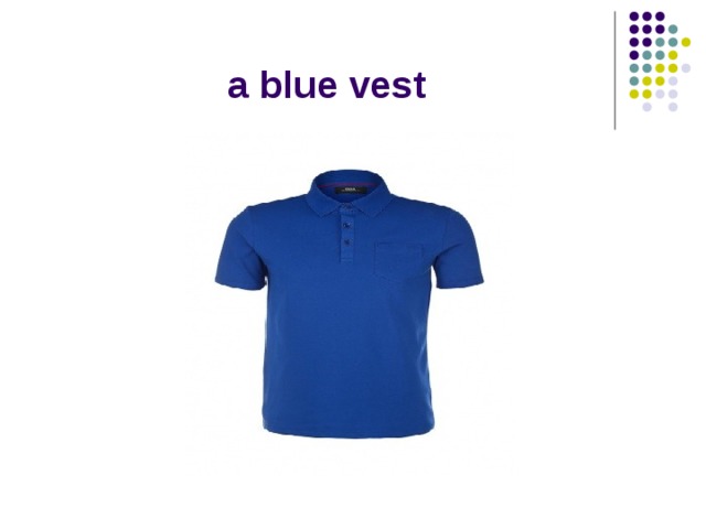 a blue vest 