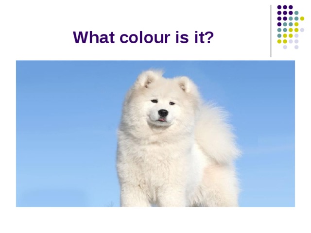 What colour is it? 