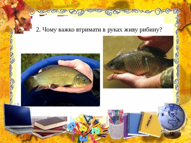 2. Чому важко втримати в руках живу рибину? 