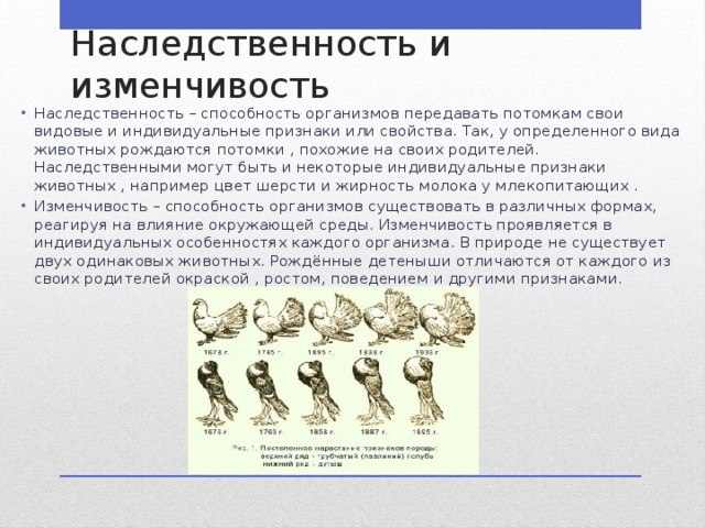 Наследственная изменчивость по дарвину. Наследственность и изменчивость. Наследственность организмов.