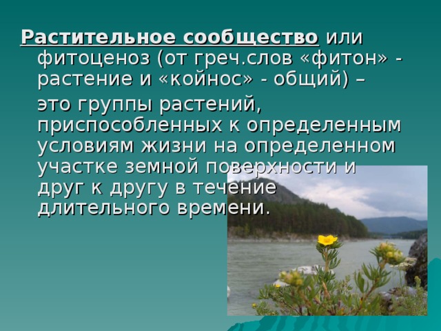 Презентация типы растительных сообществ