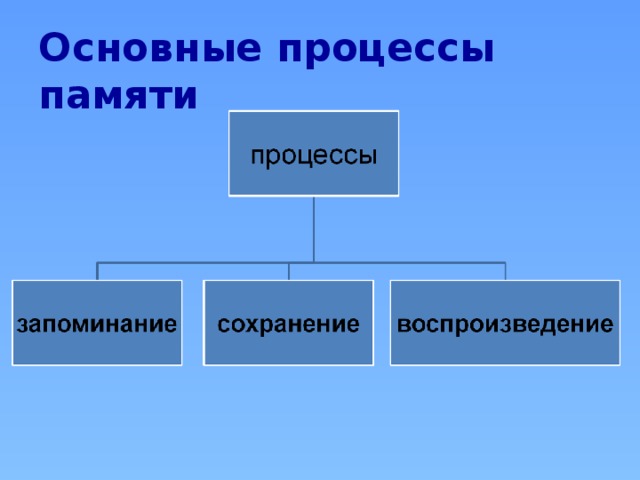 Основные процессы памяти 