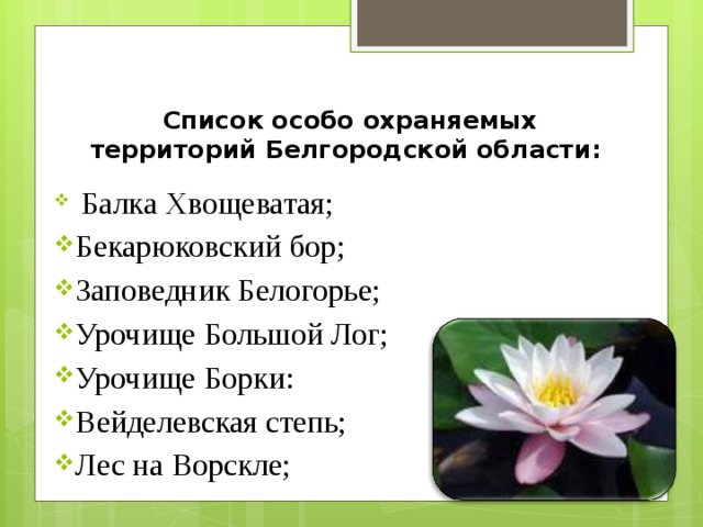 Особо охраняемые природные территории белгородской области презентация