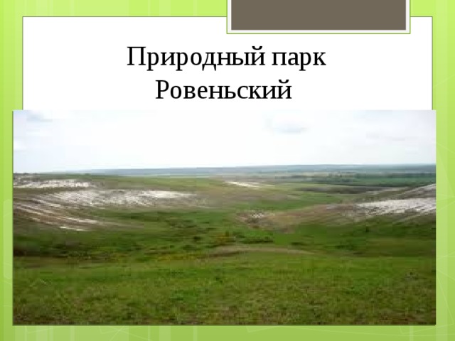 Лысые горы заповедник презентация