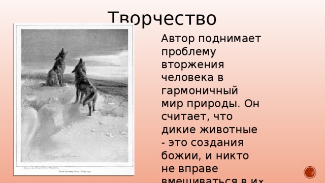 В гостях у сетон томпсона. Сетон Томпсон Виннипегский волк. Сетон Томпсон волк. Проблема человека и природы в произведении н.г.Никонова «след рыси»..