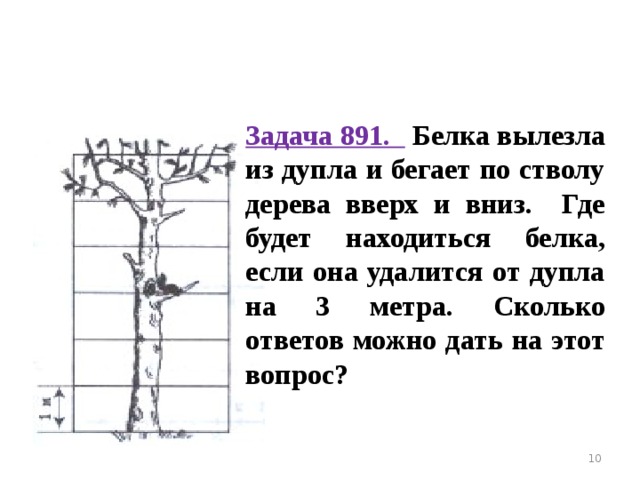 Задача белка. Белка вылезла из дупла и бегает по стволу дерева вверх. Белка вылезла из дупла и бегает по стволу дерева. Белка бегая по дереву каждую минуту поднималась. Белка бегая по дереву поднималась на 6 метров.