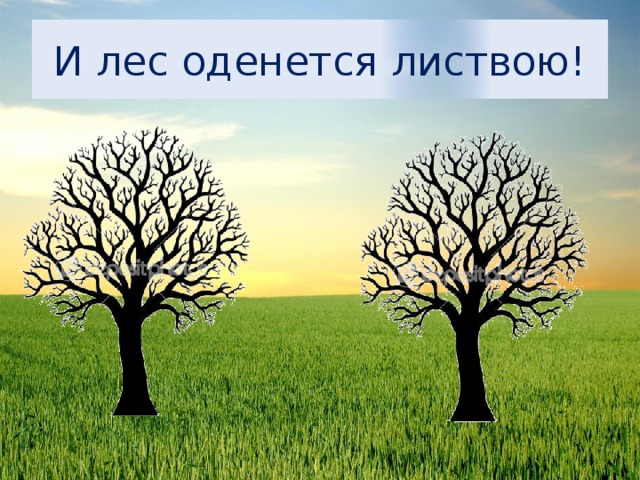 Лес одел. Лес оденется листвою. Картинки лес оденется листвою. И лес оденется листвою рисунок. Картинка и лес оденется листвою для детей.