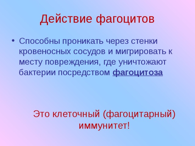 Действие фагоцитов Способны проникать через стенки кровеносных сосудов и мигрировать к месту повреждения, где уничтожают бактерии посредством фагоцитоза Это клеточный (фагоцитарный) иммунитет! 