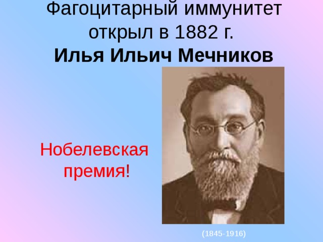 Мечников нобелевская премия. Илья Ильич Мечников Нобелевская премия. Мечников Илья Ильич иммунитет. Мечников иммунитет. Евграф Ильич Мечников.