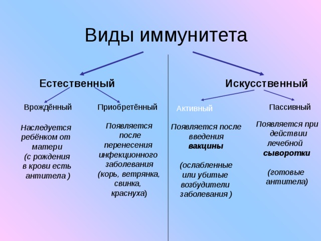 Естественный иммунитет примеры. Классификация иммунитета схема. Классификация приобретенного иммунитета. Схема классификации видов иммунитета. Виды иммунитета схема с примерами.