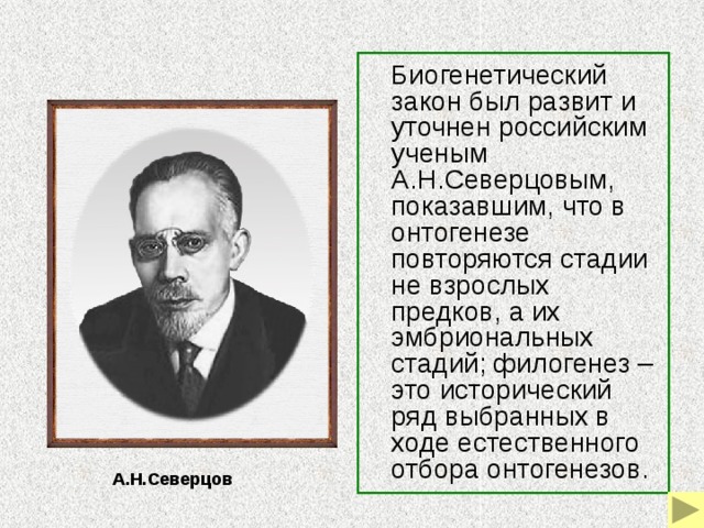 Презентация "Биогенетический закон" - скачать бесплатно