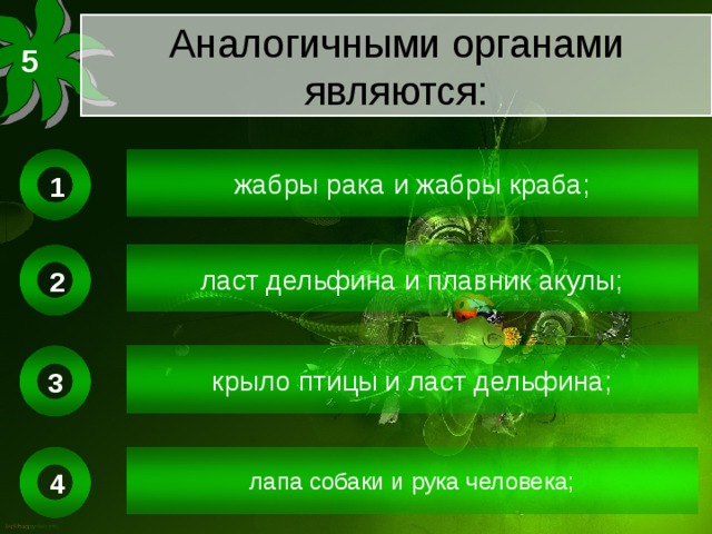 "Главные направления эволюции органического мира" - биология, презентации