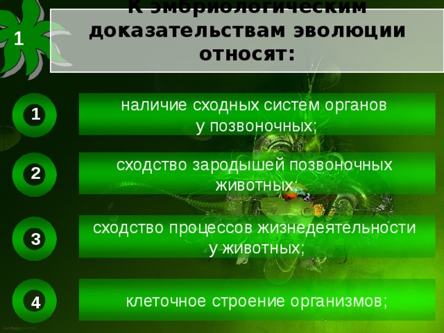 Подготовьте сообщение или мультимедийные презентации о доказательствах эволюции