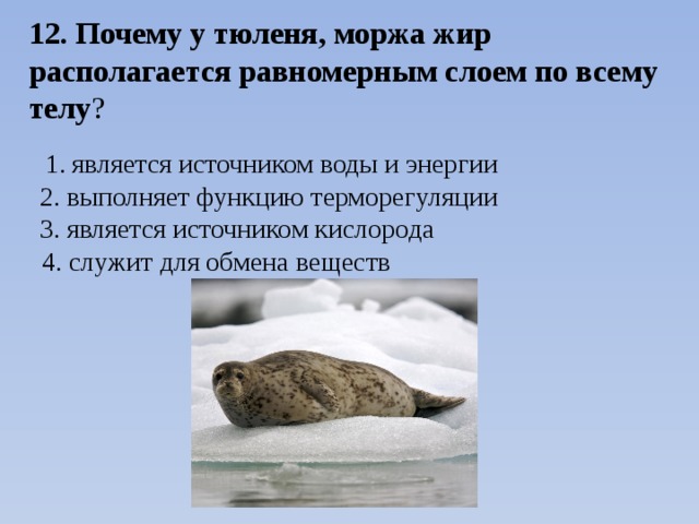 12. Почему у тюленя, моржа жир располагается равномерным слоем по всему телу ? 1. является источником воды и энергии 2. выполняет функцию терморегуляции 3. является источником кислорода 4. служит для обмена веществ 