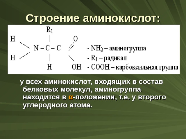 Строение аминокислоты схема