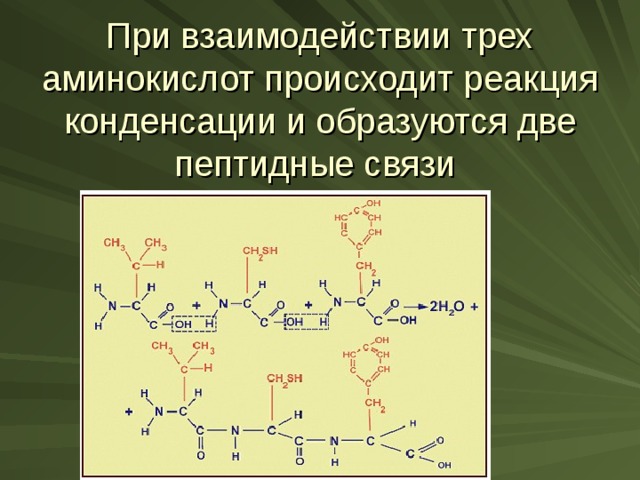 Какое утверждение о взаимодействии трех изображенных на рисунке заряженных частиц