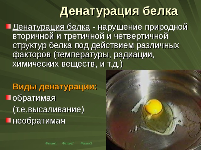 Денатурация белка Денатурация белка - нарушение природной вторичной и третичной и четвертичной структур белка под действием различных факторов (температуры, радиации, химических веществ, и т.д.)   Виды денатурации : обратимая  (т.е.высаливание) необратимая Фильм1 Фильм2 Фильм3 