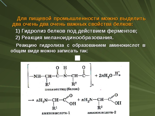  Для пищевой промышленности можно выделить два очень два очень важных свойства белков: 1) Гидролиз белков под действием ферментов; 2) Реакция меланоидинообразования. Реакцию гидролиза с образованием аминокислот в общем виде можно записать так:  