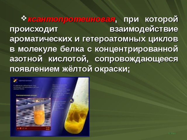ксантопротеиновая , при которой происходит взаимодействие ароматических и гетероатомных циклов в молекуле белка с концентрированной азотной кислотой, сопровождающееся появлением жёлтой окраски; Фильм 