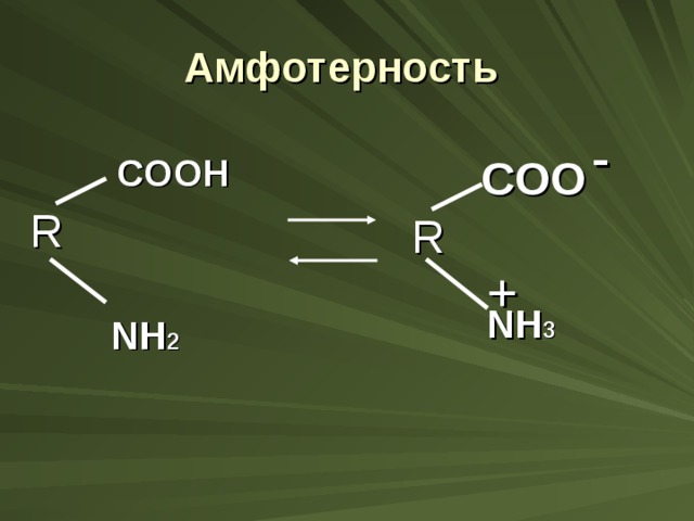Амфотерность - COOH COO R R + NH 3 NH 2 