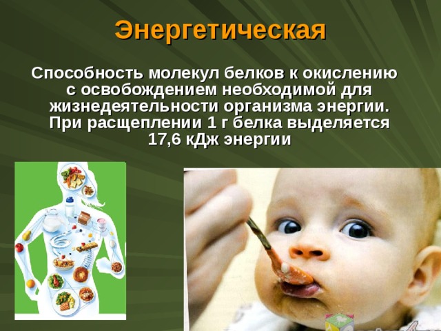 Энергетическая  Способность молекул белков к окислению с освобождением необходимой для жизнедеятельности организма энергии. При расщеплении 1 г белка выделяется 17,6 кДж энергии 