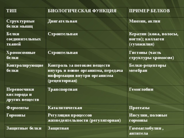 Белки типы белков. Типы белков их функции. Типы белков таблица. Белки примеры. Функции белков с примерами.